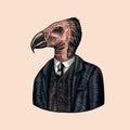 California condor gentleman. American Bird in costume. Fashion animal character. Hand drawn vintage sketch. Vector Royalty Free Stock Photo