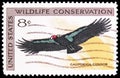California Condor Gymnogyps californianus, Wildlife Conservation Issue serie, circa 1971