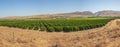 California farmlands panorama near Bakersfield countryside. Royalty Free Stock Photo