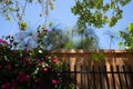 California garden backdrop