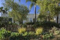 California garden landscape view in a backyard