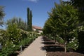 California Garden Series - Rose Garden Path