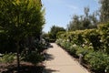 California Garden Series - Rose Garden Path