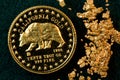 California Gold Coin and Gold Nuggets Royalty Free Stock Photo