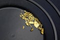 California Gold Nuggets Royalty Free Stock Photo