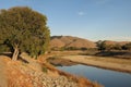 California golden hills Alameda Creek in Fremont, California Royalty Free Stock Photo