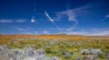 California Golden Orange Poppies and desert tumbleweed sage flowers under blue cirrus sky in high desert of southern California Royalty Free Stock Photo