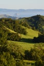 California green hillside