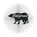 California grunge print with bear and sunburst. Graphic design for clothes, t-shirt, apparel. Vector illustration.