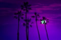 California high palm trees sunset sky silohuette Royalty Free Stock Photo