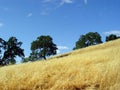 California hills Royalty Free Stock Photo