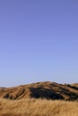 California: late afternoon golden hills Royalty Free Stock Photo