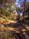 California-Malibu Creek State Park-Stream 3 Royalty Free Stock Photo