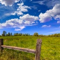 California meadow ranch in a blue sky spring day Royalty Free Stock Photo