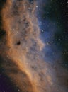 The california Nebula