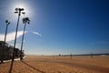 California Newport Beach with high palm trees