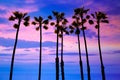 California palm trees sunset with colorful sky Royalty Free Stock Photo