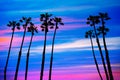 California palm trees sunset with colorful sky Royalty Free Stock Photo