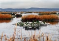 California- Panorama of the Beautiful Tule Lake Wetlands in Reflection Royalty Free Stock Photo