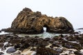 California Pfeiffer Beach in Big Sur State Park