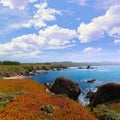 California Pigeon point beach in Cabrillo Hwy coastal hwy 1 Royalty Free Stock Photo