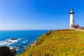 California Pigeon point Lighthouse in Cabrillo Hwy coastal hwy 1 Royalty Free Stock Photo