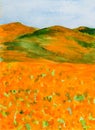 California Poppy Fields. Watercolor Painting 1