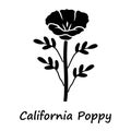 California poppy glyph icon. Papaver rhoeas with name inscription. Corn rose blooming wildflower. Herbaceous plants