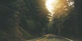 California Redwood Forest Highway Sunset Royalty Free Stock Photo