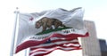 The California Republic flag with the grizzly bear Monarch flying along with the American national star-striped flag