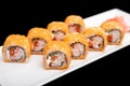 California roll Royalty Free Stock Photo