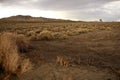 California Rural Landscape