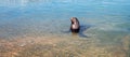 California Sea Lion looking for a free meal in the marina in Cabo San Lucas Baja Mexico Royalty Free Stock Photo