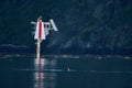 California sea lion surfaces to take a breath near a navigational marker, Sooke Harbour