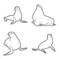 California Sea Lion Vector Illustration Hand Drawn Animal Cartoon Art Royalty Free Stock Photo