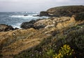 California Seascape with Layered Rock Formations and Spring Flowers Royalty Free Stock Photo