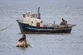 California Seascape wtih Boat and Two Sea Lions on Buoys Royalty Free Stock Photo