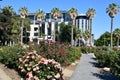 California State Capitol World Peace Rose Garden (McKinley Rose Garden) in Sacramento, California Royalty Free Stock Photo