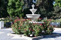 California State Capitol World Peace Rose Garden (McKinley Rose Garden) in Sacramento, California Royalty Free Stock Photo