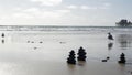 California summertime beach aesthetic, sea gull and pacific ocean water waves. Dreamlike tranquil natural background. Atmospheric