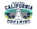 California surfer tee graphic Royalty Free Stock Photo