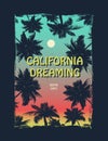 California surfer tee graphic Royalty Free Stock Photo