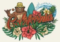 California surfing vintage colorful emblem
