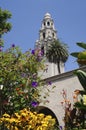 The California Tower in Balboa Park Viewed from the Alcazar Gardens