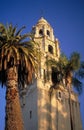 California Tower with Palm Tree