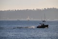 California Travels - Sailboats on San Diego Harbor at Point Loma Royalty Free Stock Photo