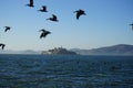 California trip San Francisco Alcatraz with flying birds summer time blu sky Royalty Free Stock Photo