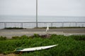 California trip Santa Cruz surfing spot bird watching surfboard on the road Royalty Free Stock Photo