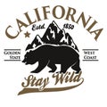 California typography print, grizzly Bear t-shirt. vector