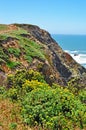 Bodega Bay, Pacific Ocean, rock, cliff, green, California, United States of America, Usa Royalty Free Stock Photo